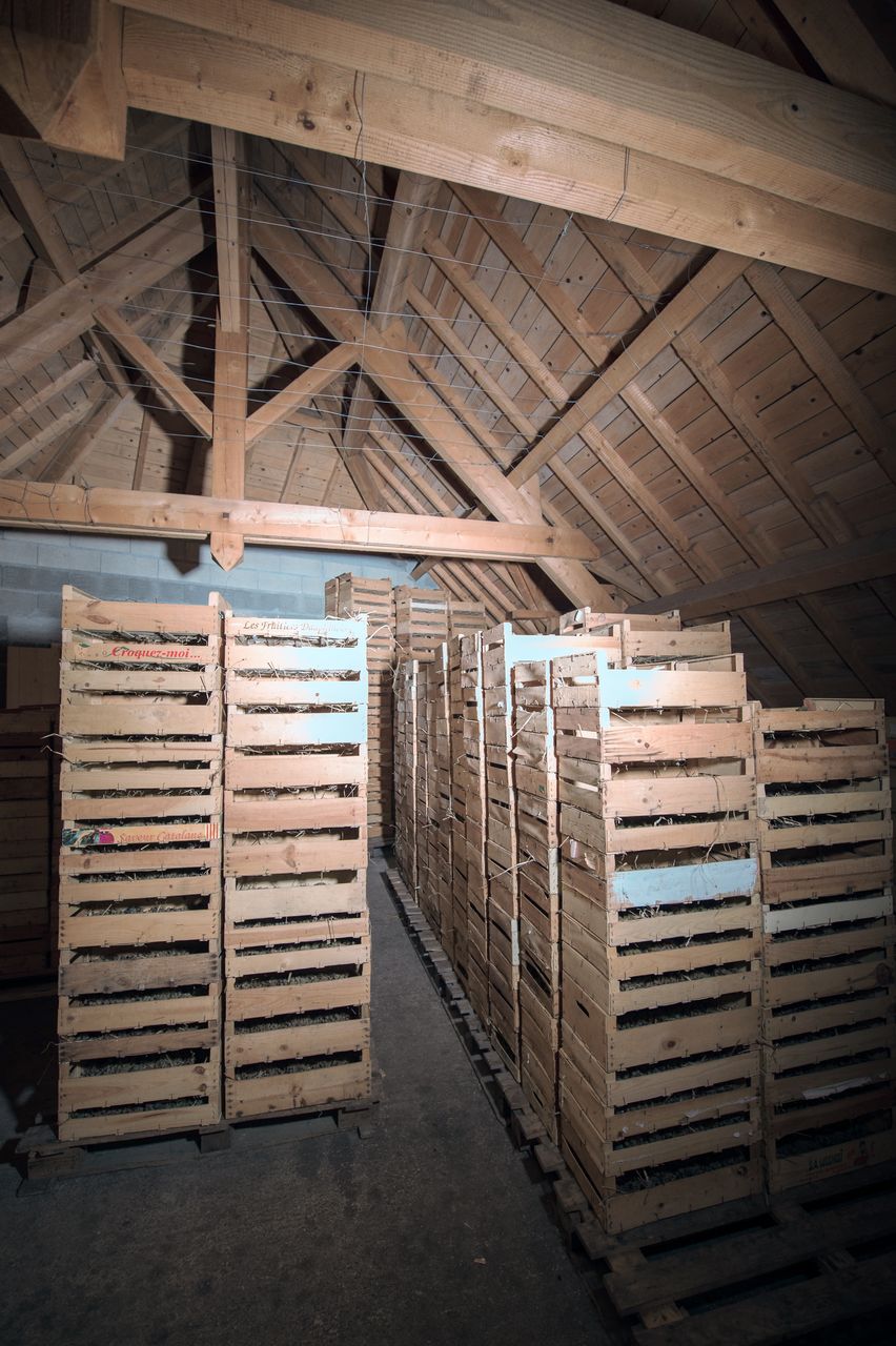 Vignoble Technique Vin de paille VDP-0039